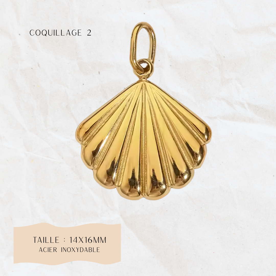 LINK COQUILLAGE 2