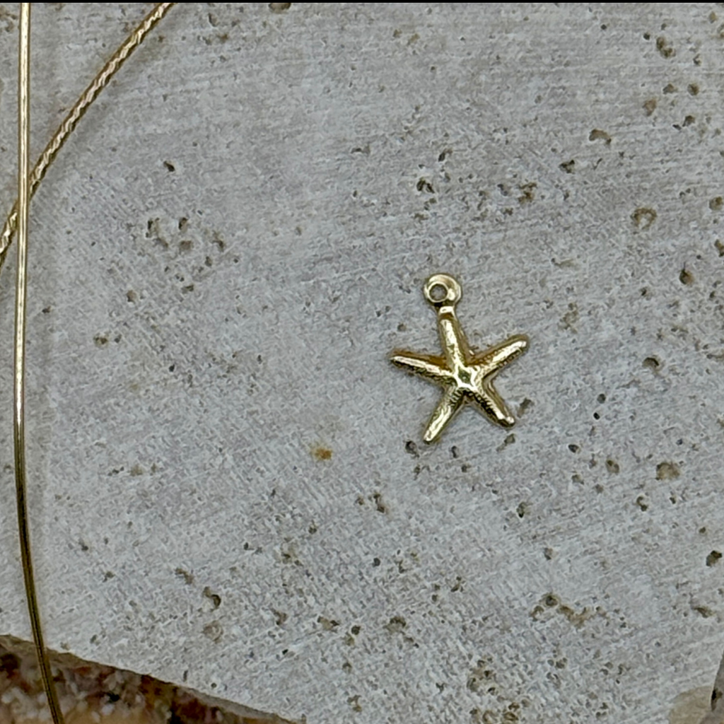 Etoile de mer