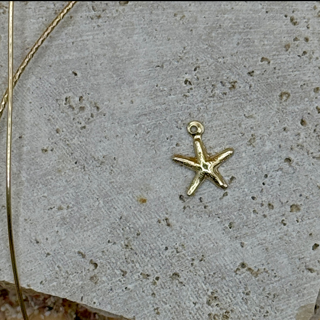 Etoile de mer