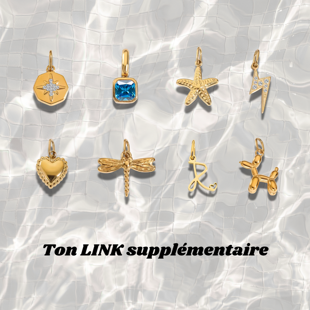 un 4ème LINK ? ( +6€ au lieu de 8€) (OPTION)